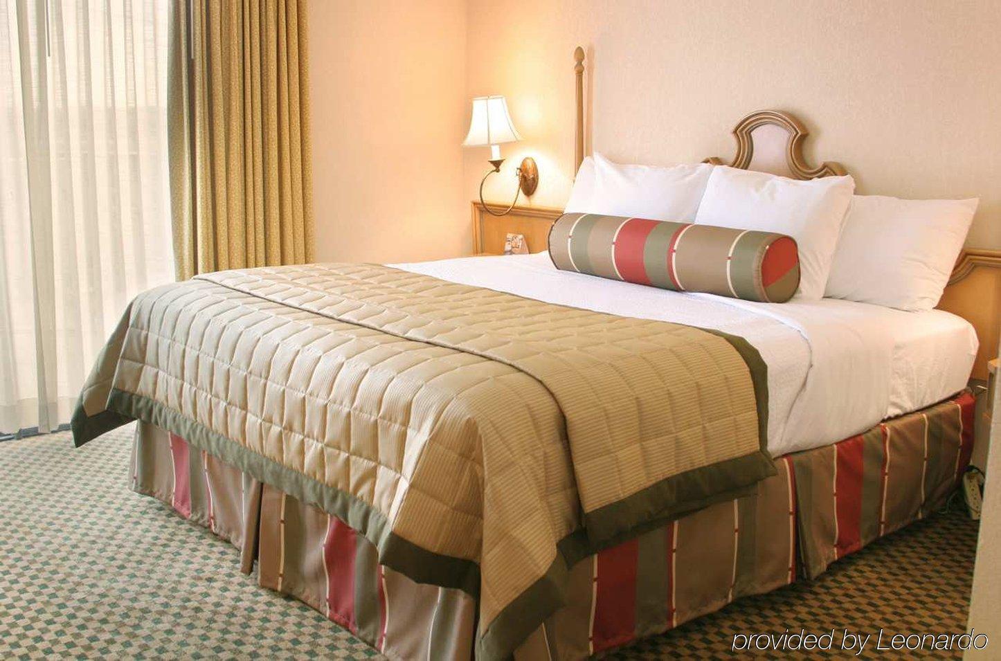 Embassy Suites Dallas - DFW International Airport South Irving Habitación foto
